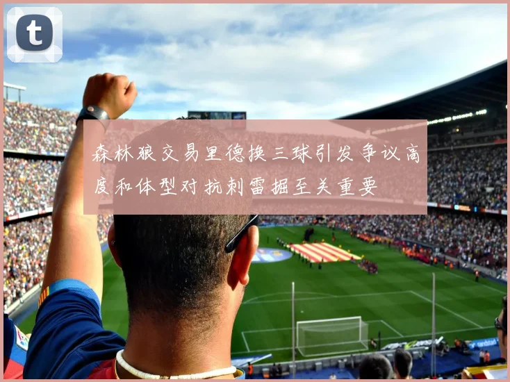 森林狼交易里德换三球引发争议高度和体型对抗刺雷掘至关重要